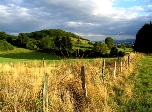 Plateaux de l'Aubrac en Aveyron pres du Clos de Banes