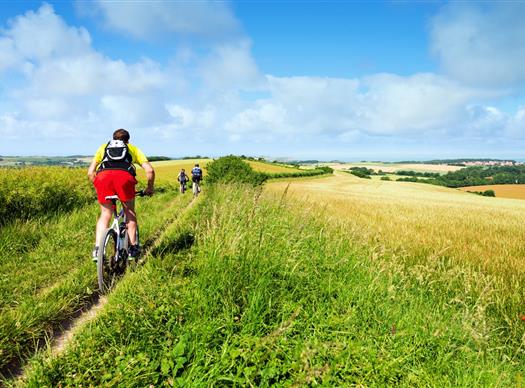 Randonee en vtt sur les plateaux de l'Aubrac - Clos de Banes